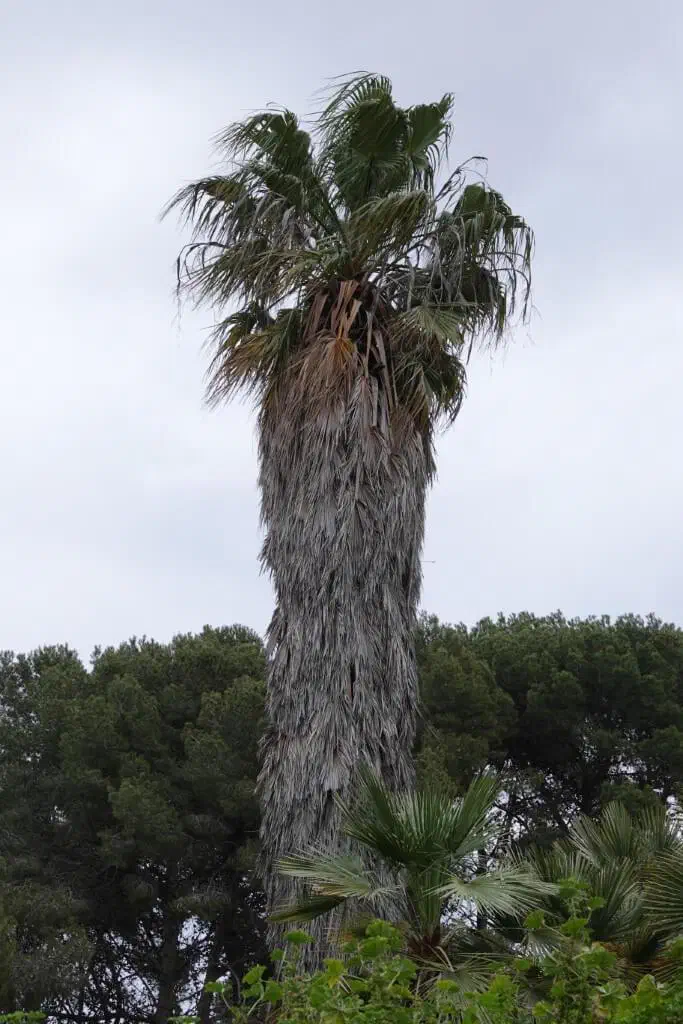 Barcelona, Spanien - Photo 11