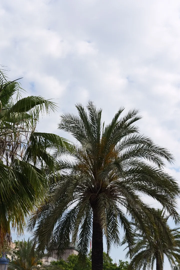Barcelona, Spanien - Photo 6