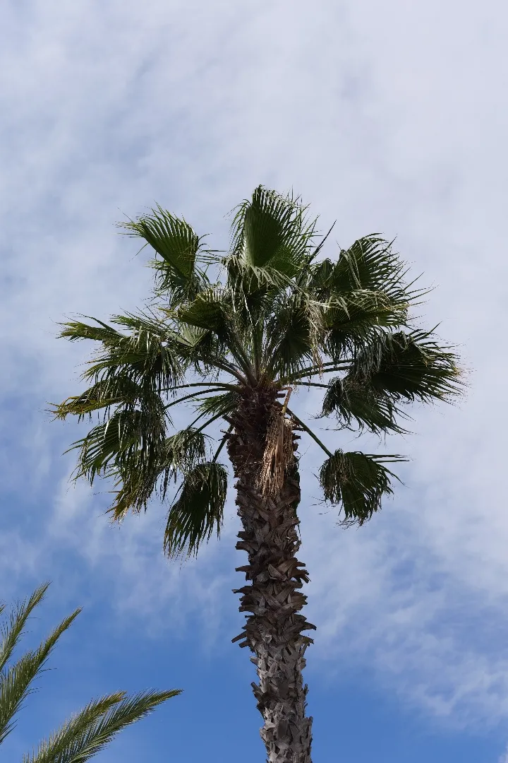 Barcelona, Spanien - Photo 10