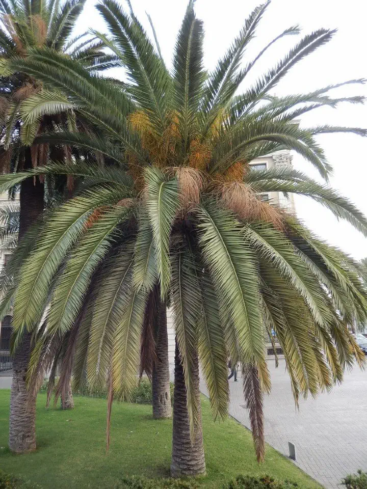 Barcelona, Spanien - Photo 2