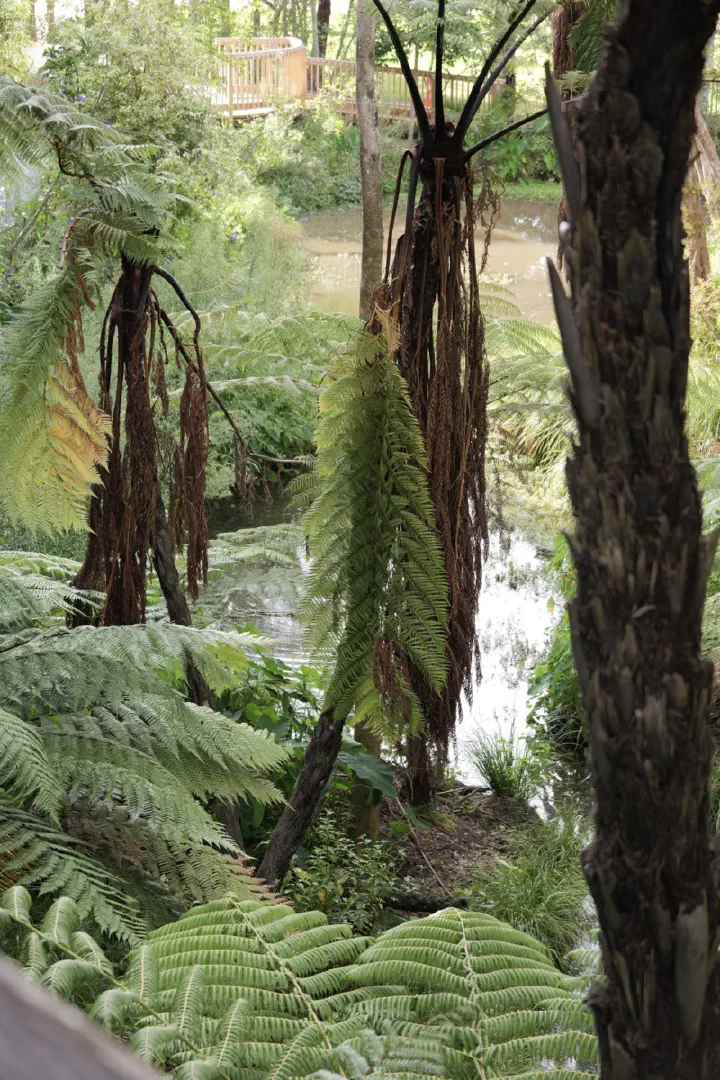 Bay of Islands, Neuseeland - Photo 6