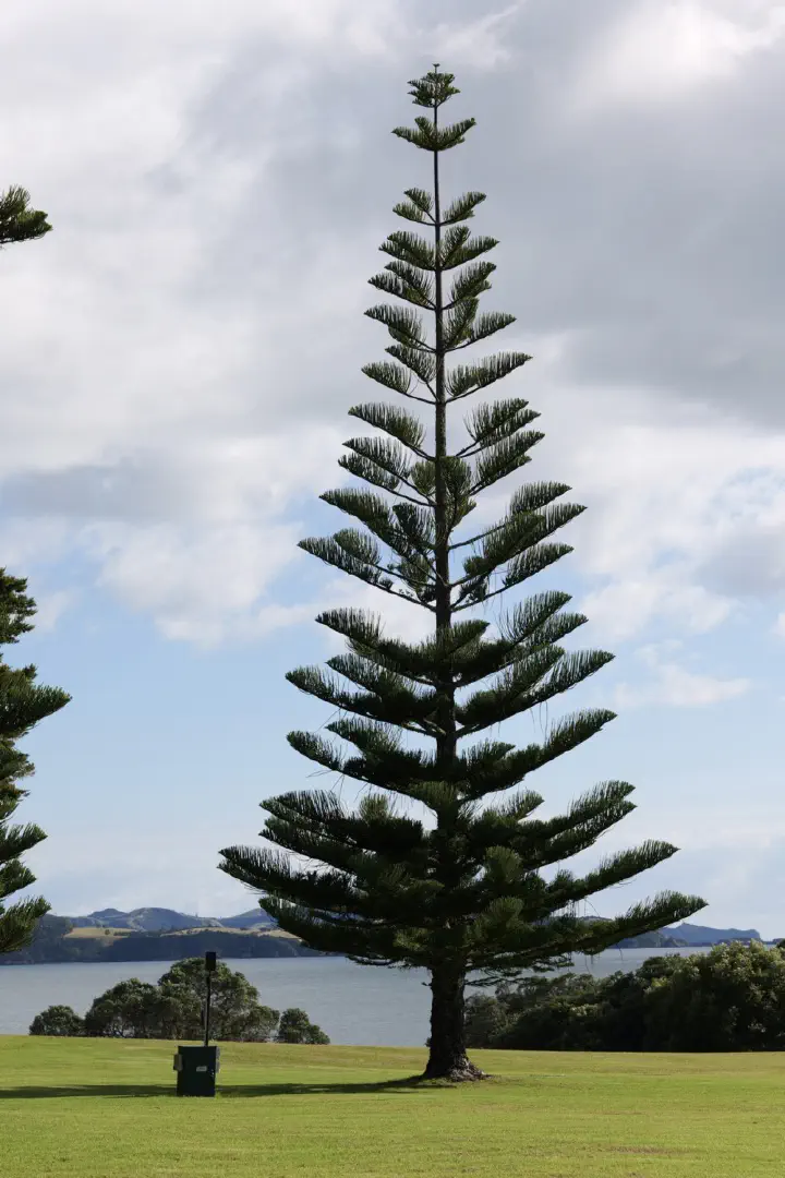 Bay of Islands, Neuseeland - Photo 10