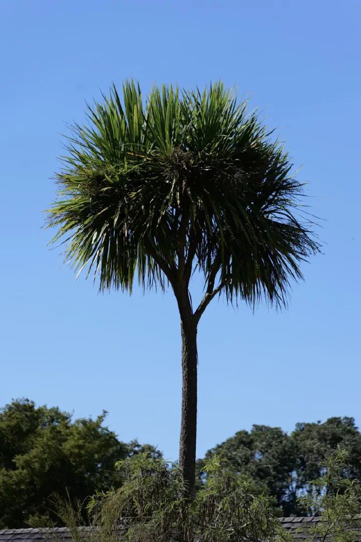 Bay of Islands, Neuseeland - Photo 31