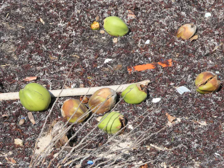 Bridgetown, Barbados - Photo 2