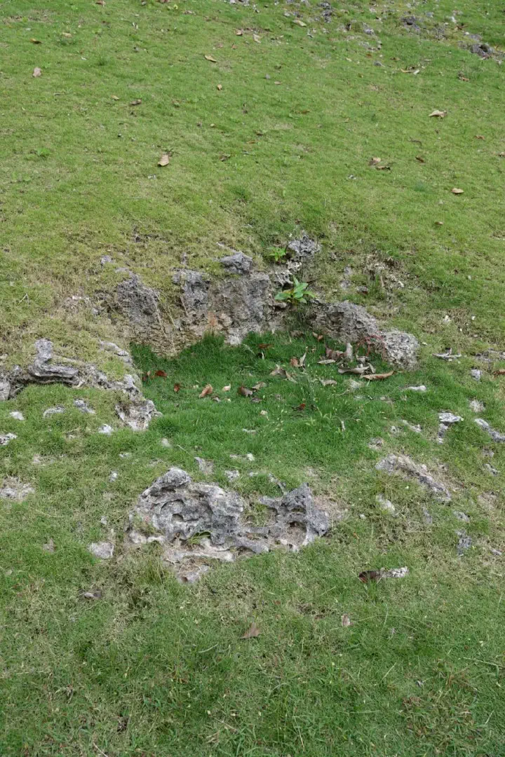 Bridgetown, Barbados - Photo 3