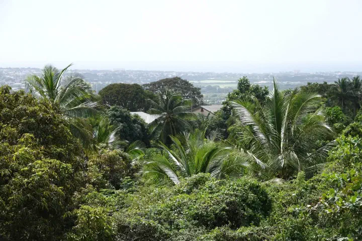 Bridgetown, Barbados - Photo 5