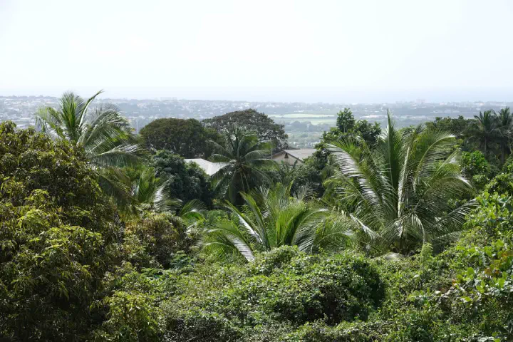 Bridgetown, Barbados - Photo 5
