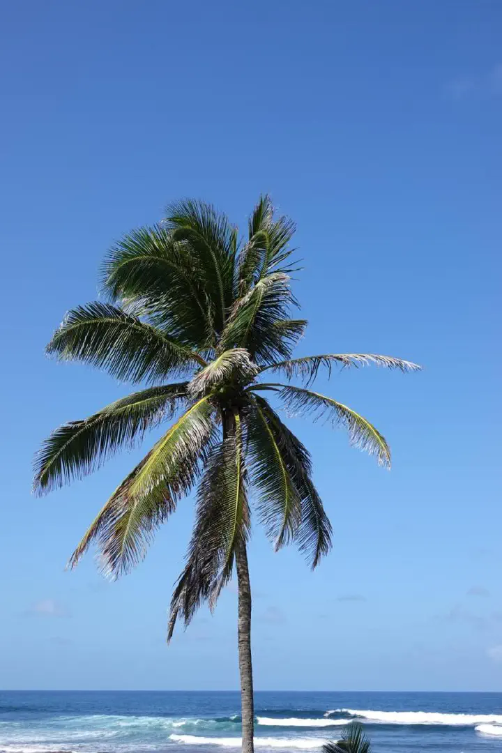 Bridgetown, Barbados - Photo 7