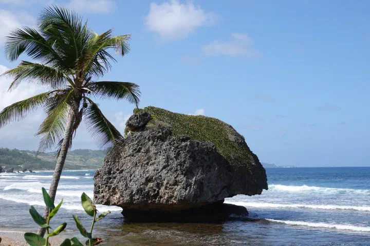 Bridgetown, Barbados - Photo 9
