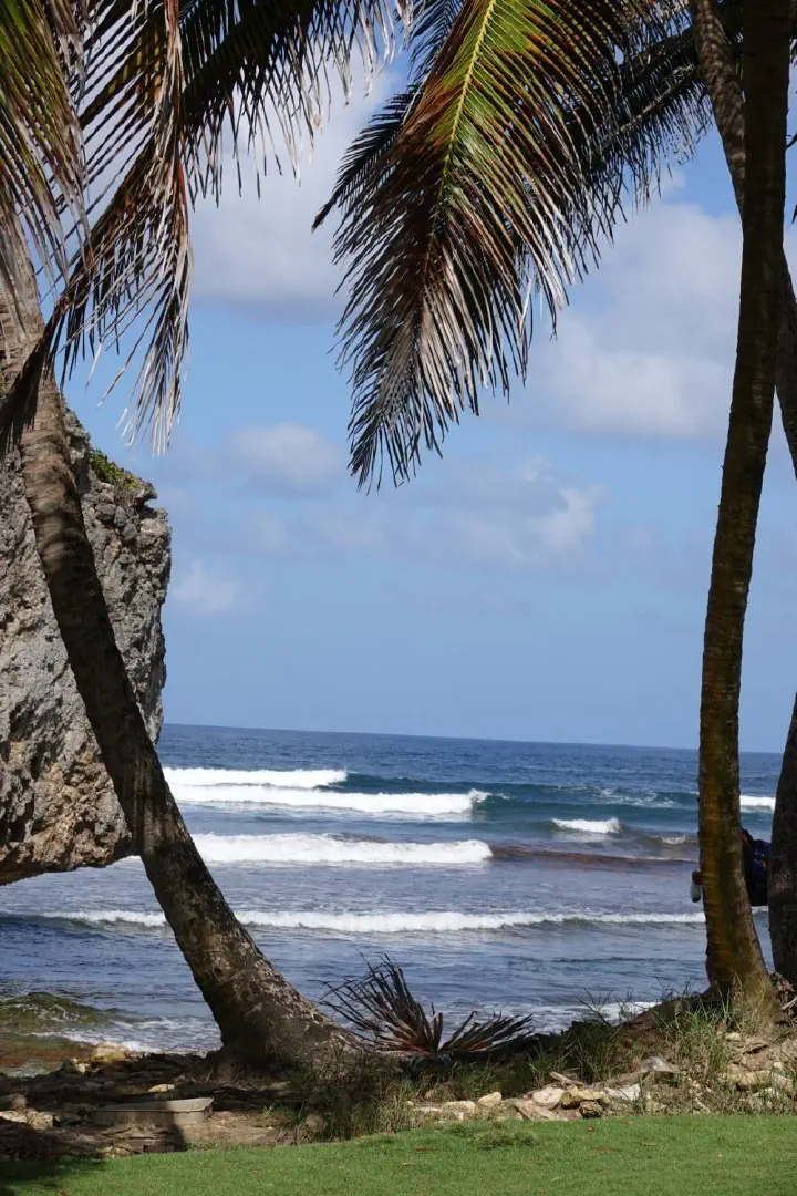 Bridgetown, Barbados - Photo 14