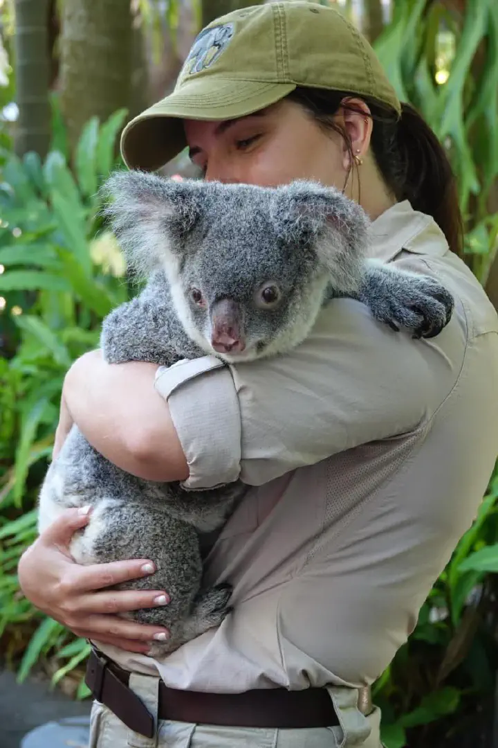 Brisbane, Australien - Photo 2