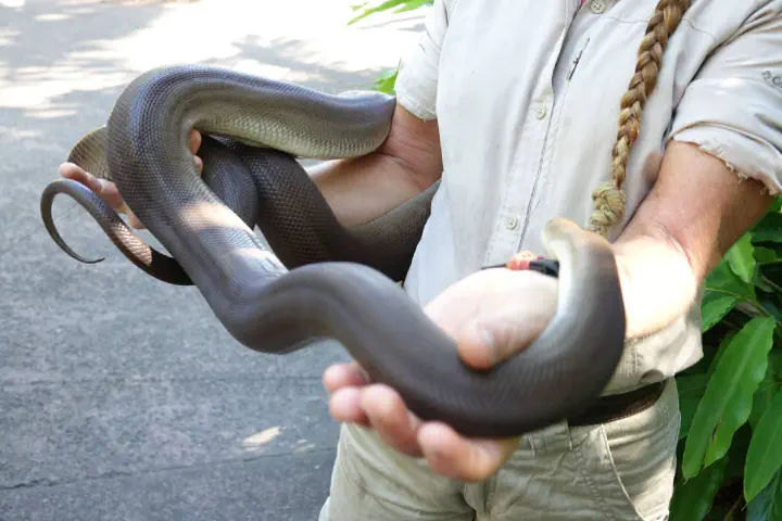 Brisbane, Australien - Photo 4