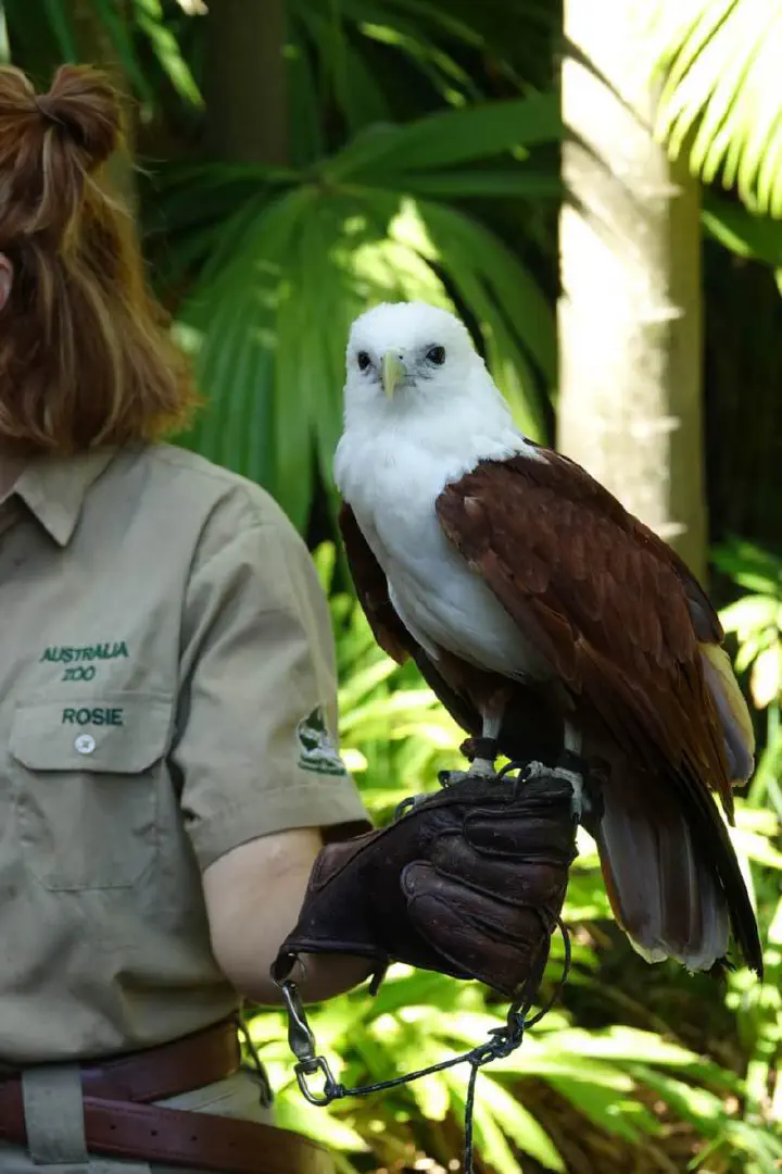Brisbane, Australien - Photo 5