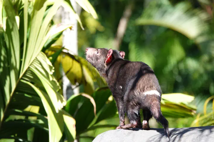 Brisbane, Australien - Photo 8