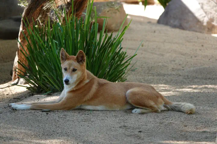 Brisbane, Australien - Photo 10