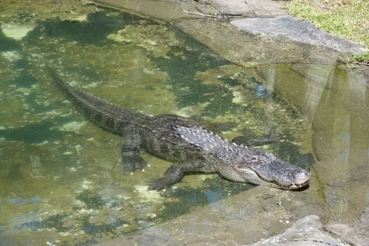 Brisbane, Australien - Photo 15