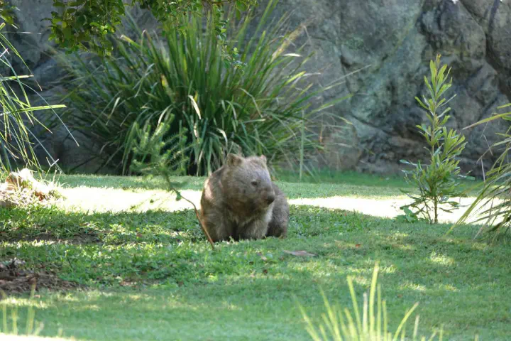 Brisbane, Australien - Photo 16