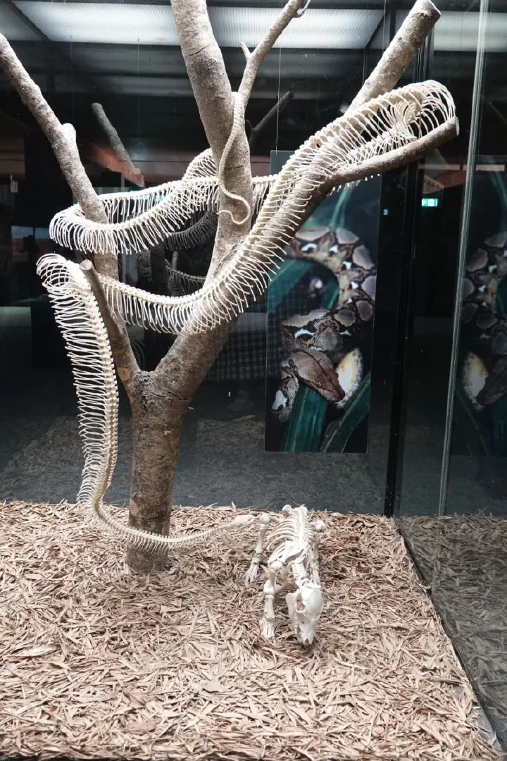 Brisbane, Australien - Photo 18