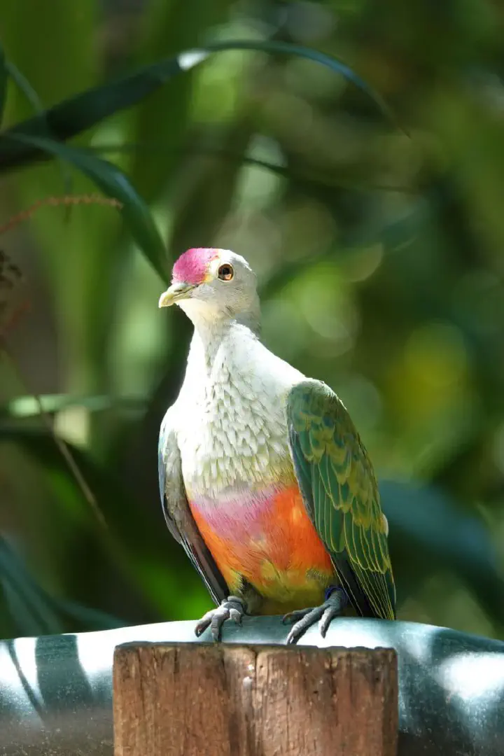 Brisbane, Australien - Photo 21