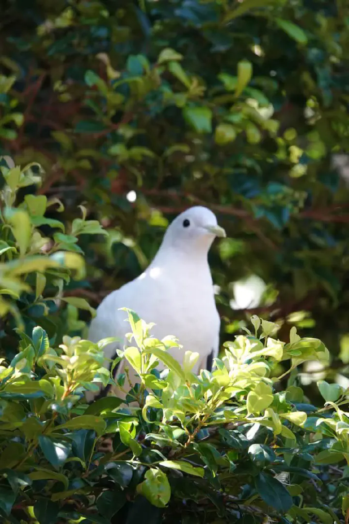 Brisbane, Australien - Photo 22