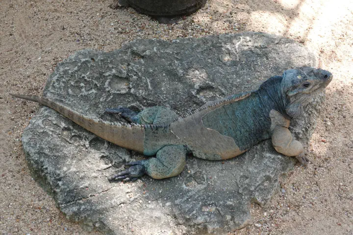 Brisbane, Australien - Photo 29