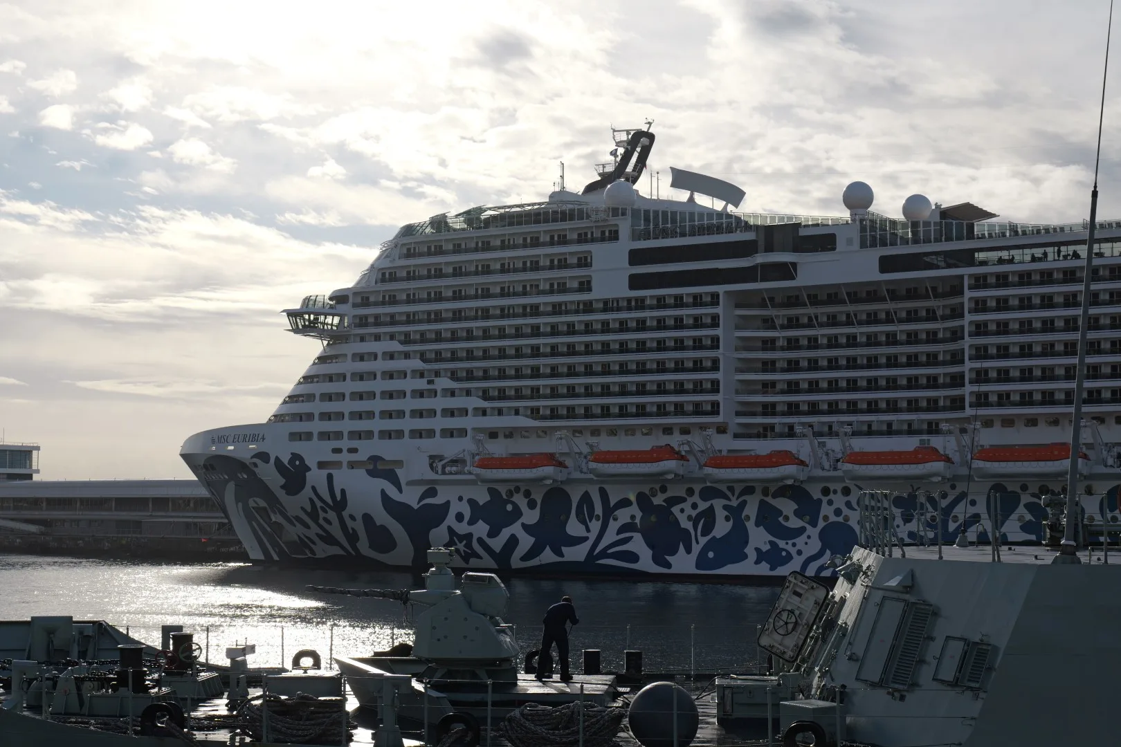 Die MSC Euribia im Hafen von Funchal - von hier aus startete unser Tag auf Madeira.
