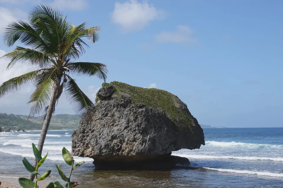 Blick auf eine Palme und einen Felsen am Strand Bathseba.