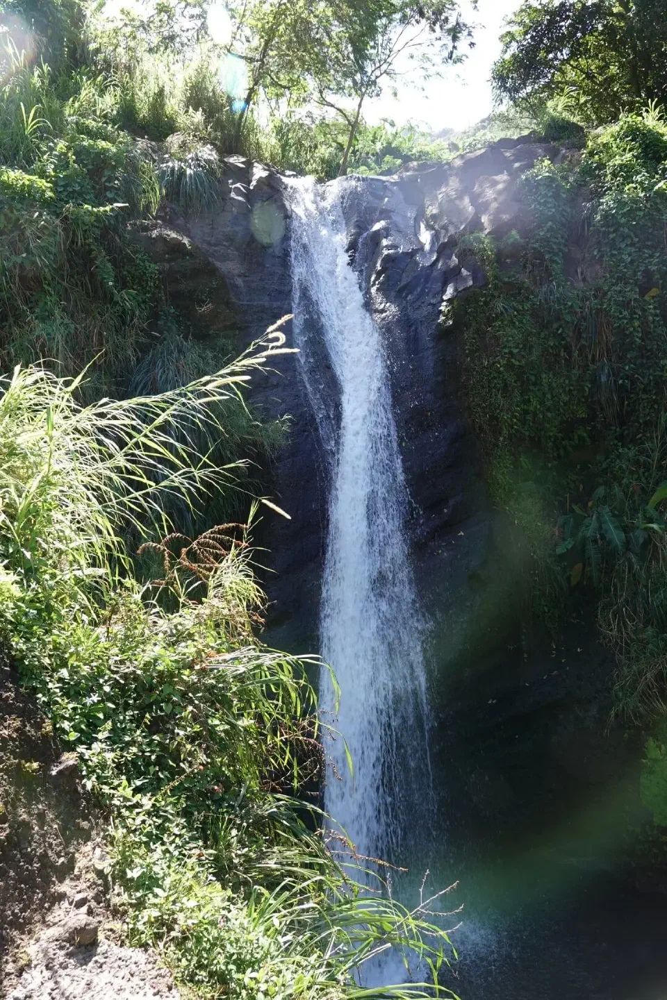 Blick auf die Concord-Wasserfälle.