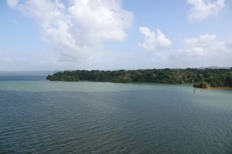 Ein Blick auf den Dschungel am Rand des Panamakanals.
