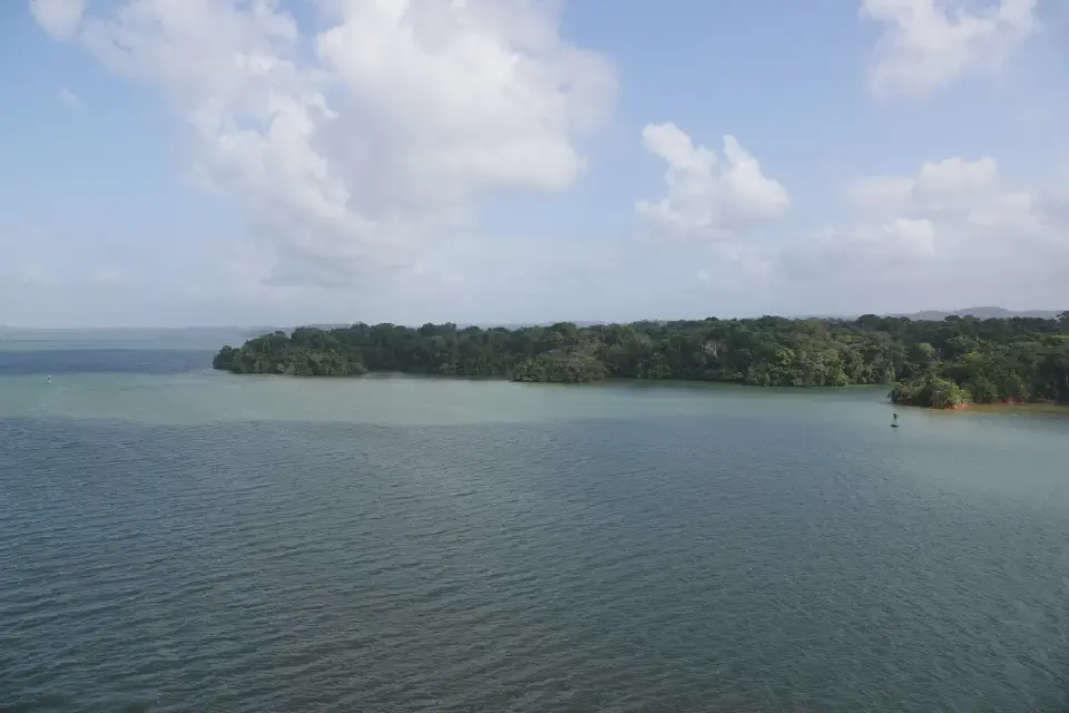 Ein Blick auf den Dschungel am Rand des Panamakanals.