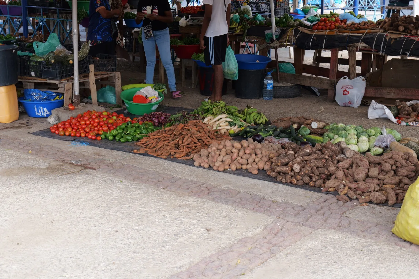 Ein bunter Straßenmarkt mit frischen Produkten direkt vom Feld – authentisch, lebendig und typisch für den Alltag auf São Vicente.