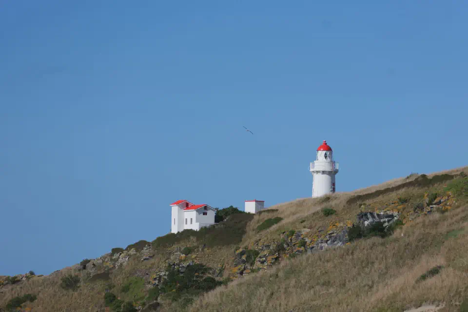 Der markante Leuchtturm an der Küste bei Dunedin.