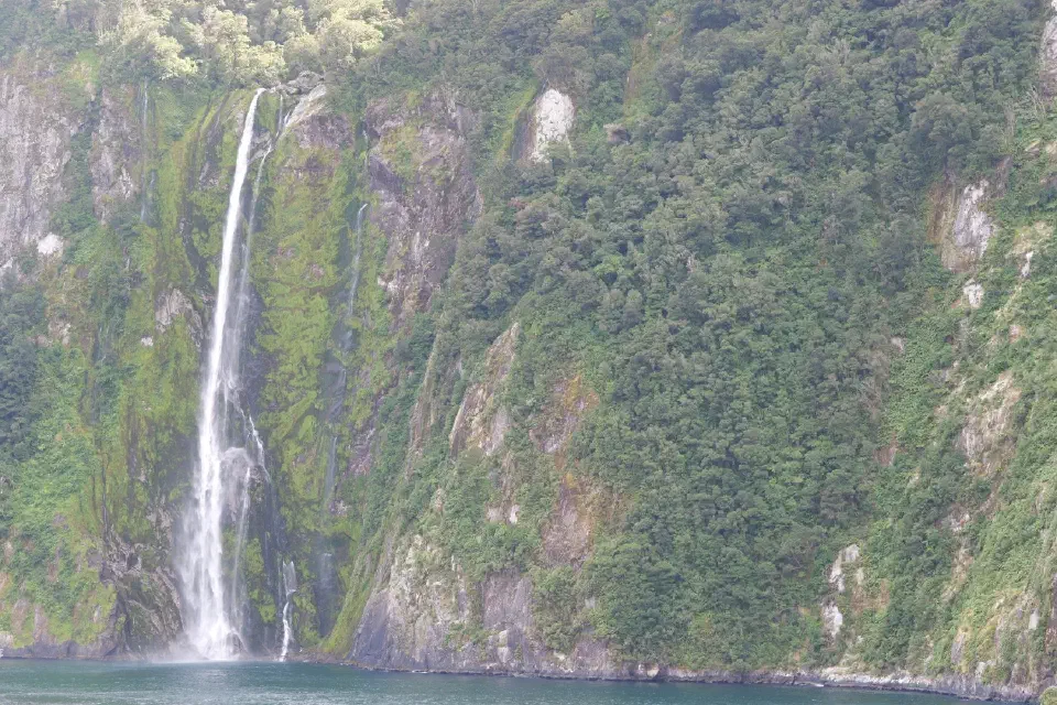 Ein hoher Wasserfall stürzt aus den steilen Felswänden direkt in den Fjord und zählt zu den vielen natürlichen Highlights des Milford Sound.