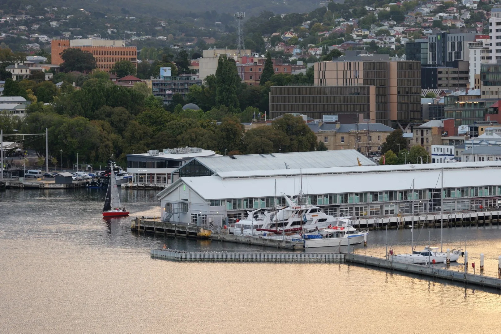 Der Hafen von Hobart zeigt die tasmanische Hauptstadt von ihrer ruhigen und grünen Seite.