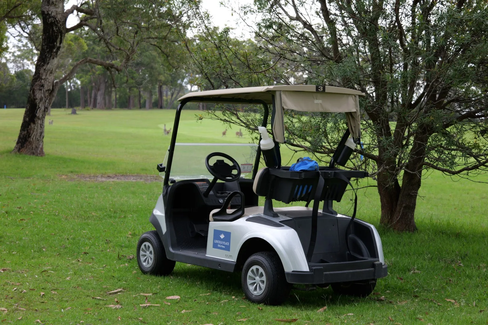 Ein Golfcart dient uns als ungewöhnliches Fortbewegungsmittel bei der Erkundung des Golfplatzes.