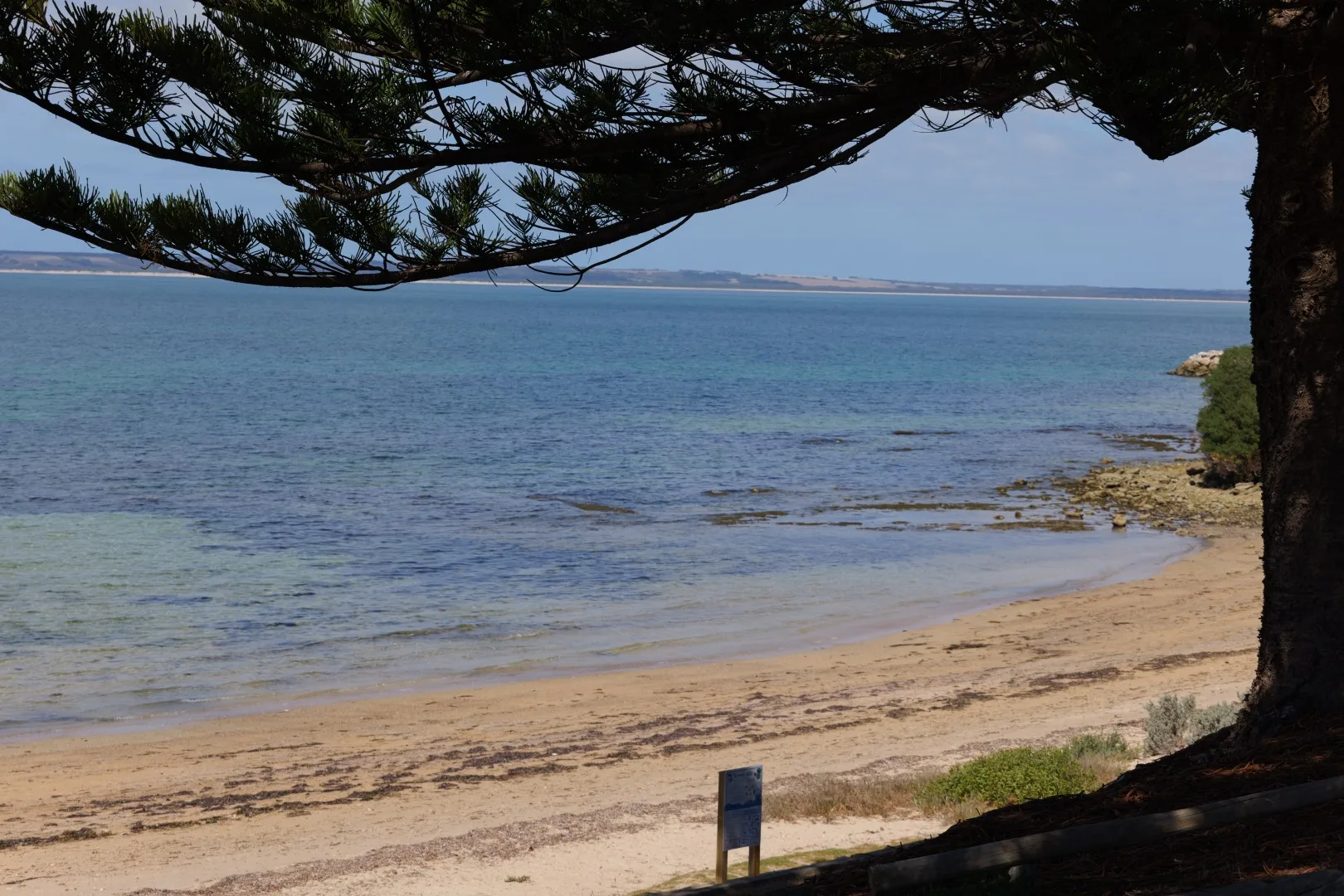 Ein ruhiger Sandstrand bei Penneshaw mit klarem Wasser und schattenspendenden Bäumen vermittelt sofort die entspannte und naturverbundene Atmosphäre von Kangaroo Island..