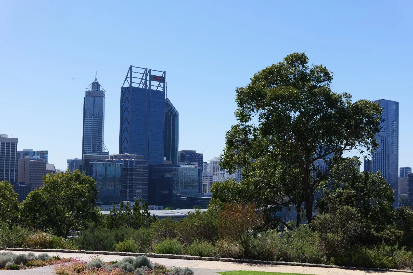 Vom Kings Park aus eröffnet sich ein weiter Blick auf die moderne Skyline von Perth, eingebettet in großzügige Grünflächen.