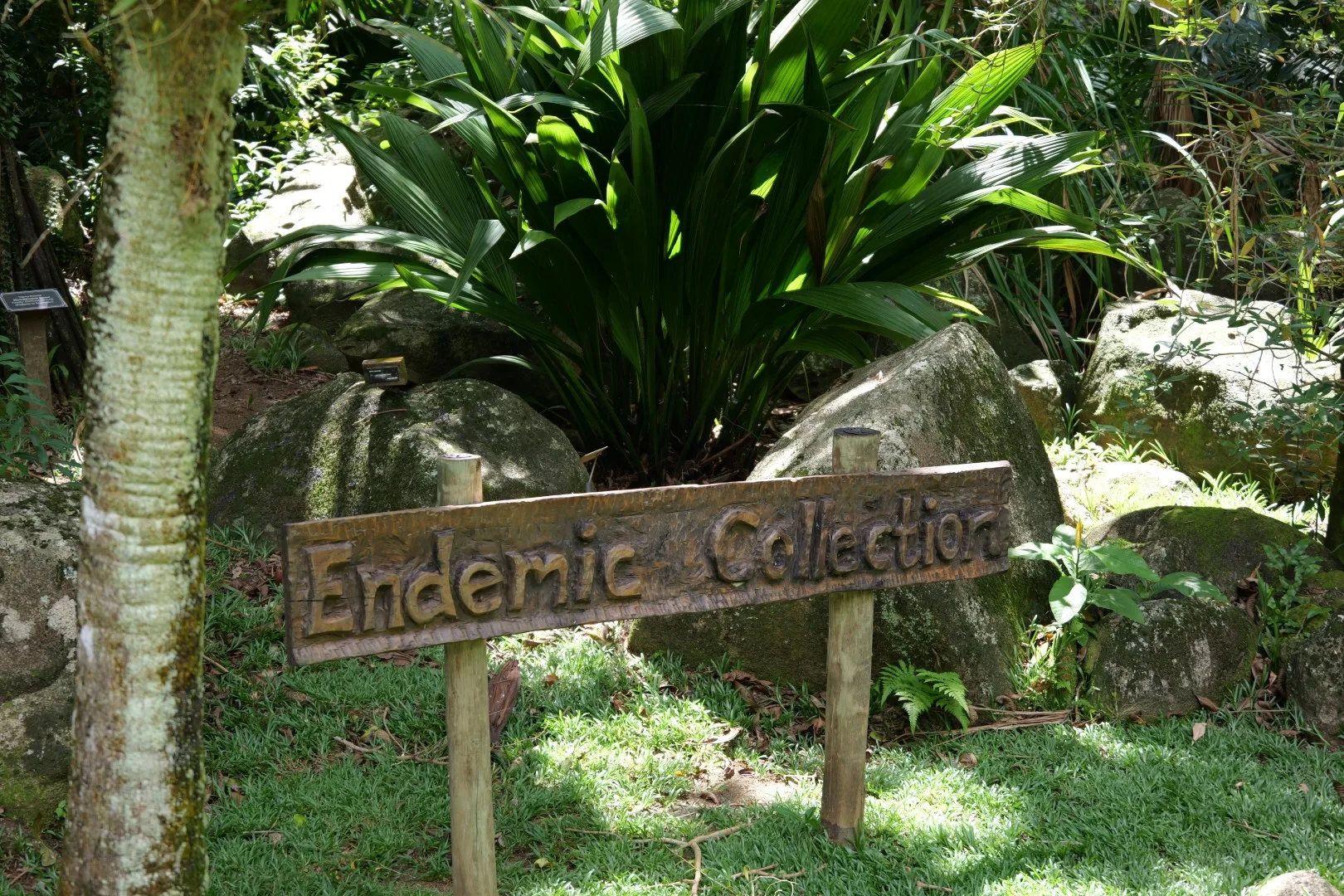 Ein Hinweisschild zur endemischen Pflanzensammlung im Font Fleury Botanical Garden.