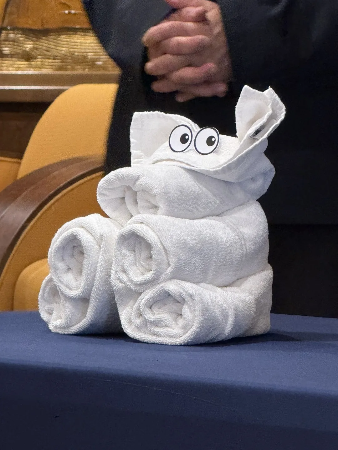 Kreativ gefaltetes Handtuch aus der Kabine, ein kleines Detail, das den Alltag an Bord immer wieder auflockerte.