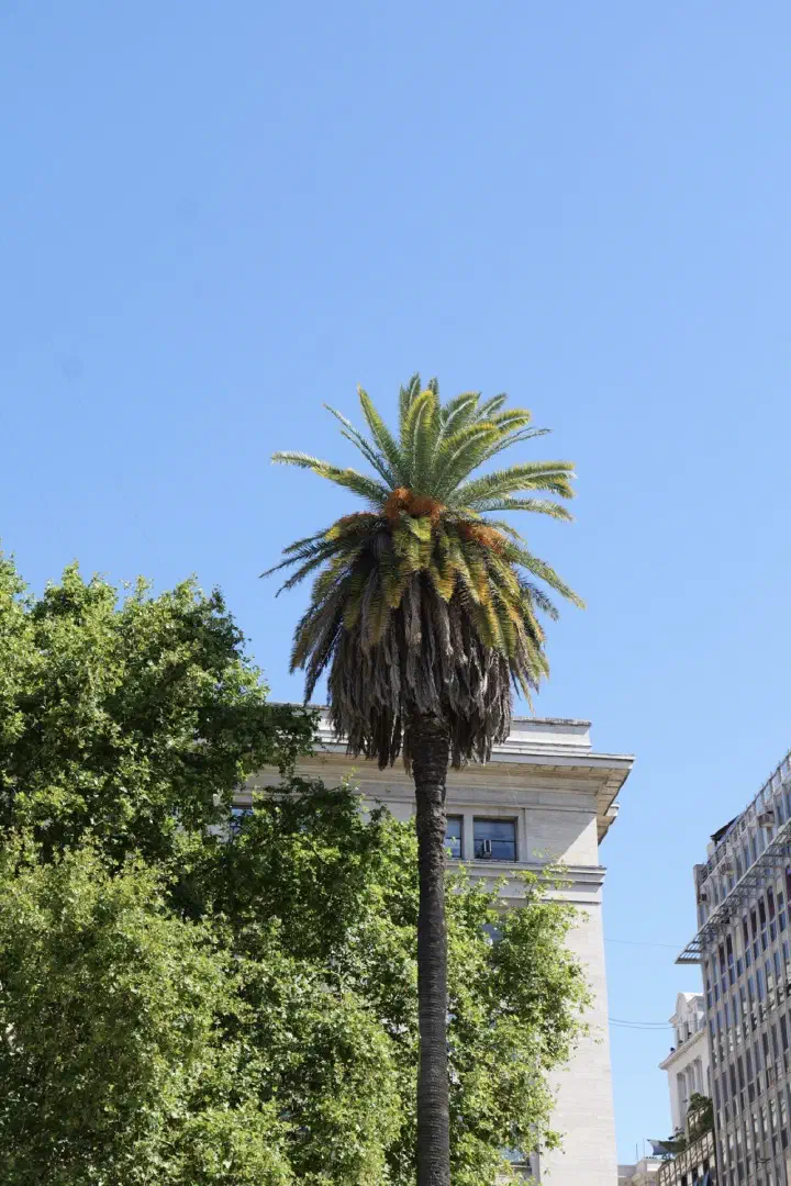 Buenos Aires, Argentinien - Photo 23