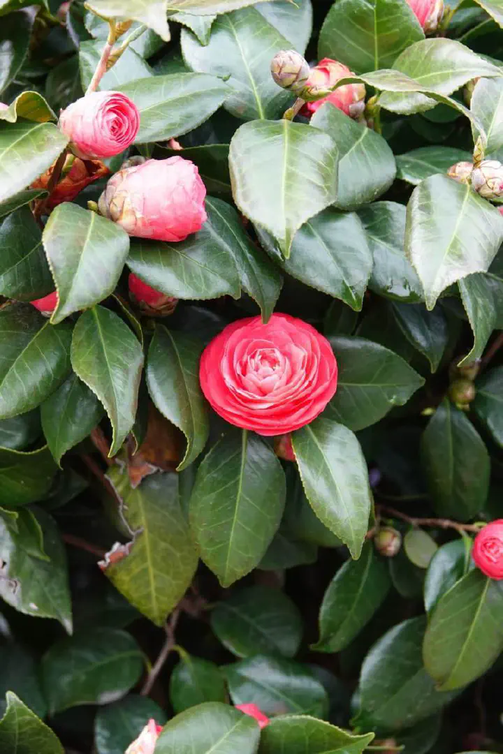 Busan, Südkorea - Photo 14