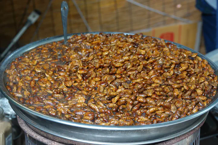 Busan, Südkorea - Photo 52