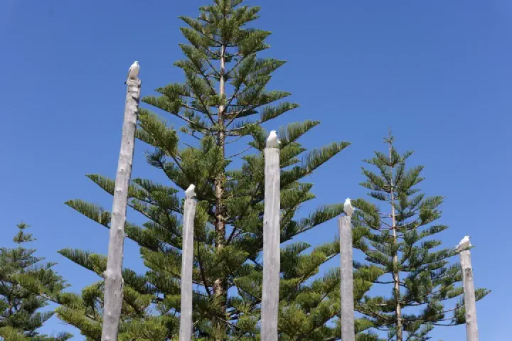 Busselton, Australien - Photo 5