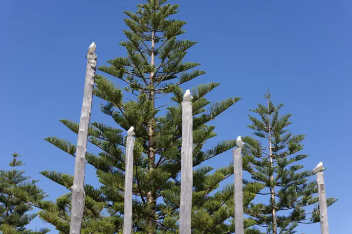 Busselton, Australien - Photo 5