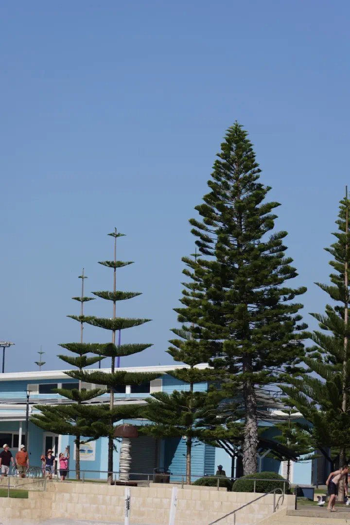Busselton, Australien - Photo 20