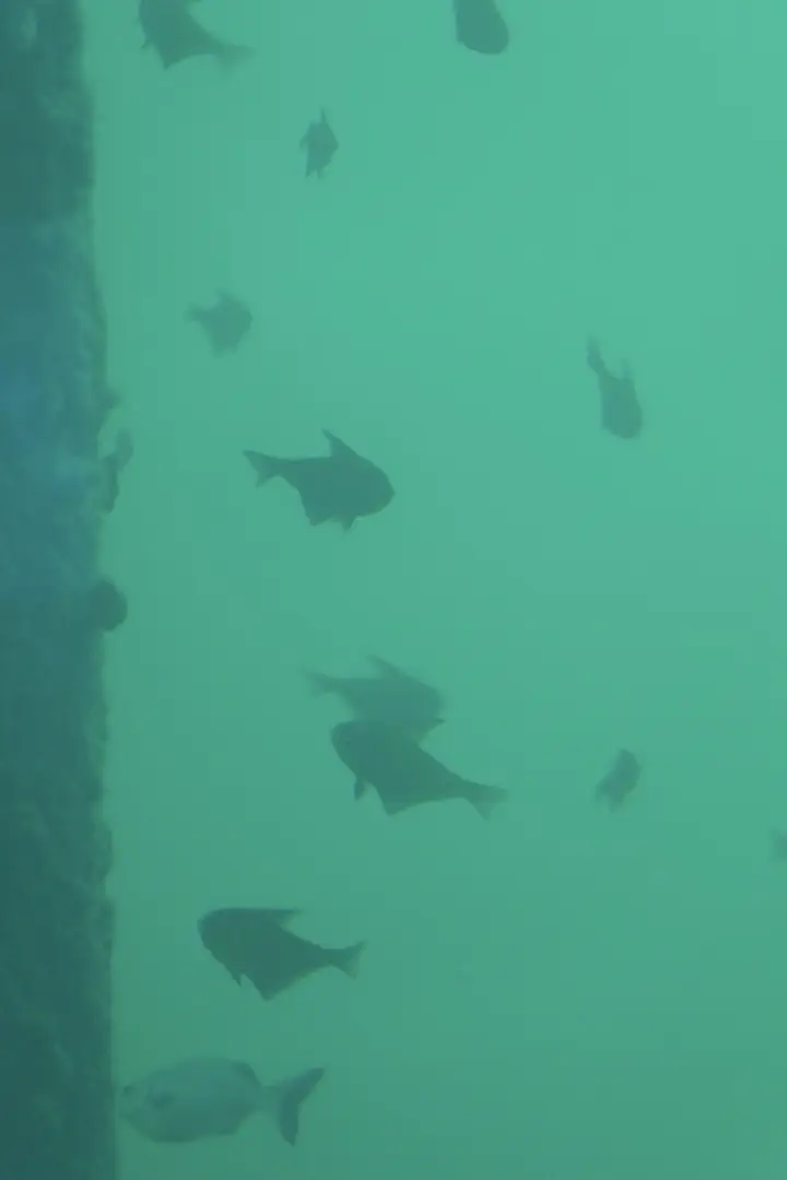 Busselton, Australien - Photo 31