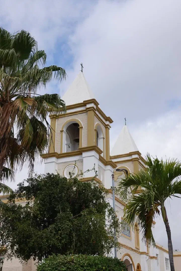 Cabo San Lucas, Mexiko - Photo 20