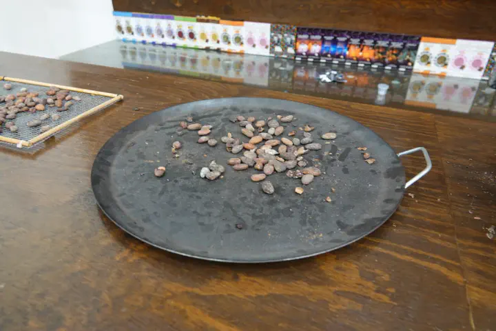 Cabo San Lucas, Mexiko - Photo 23