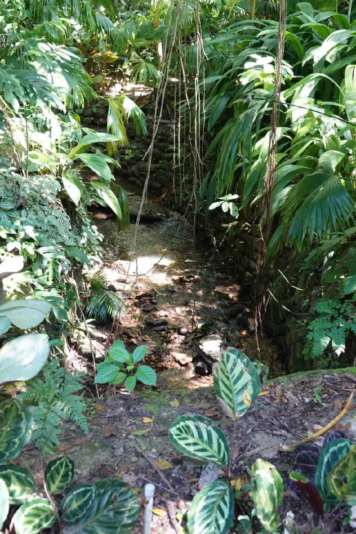 Cairns, Australien - Photo 4