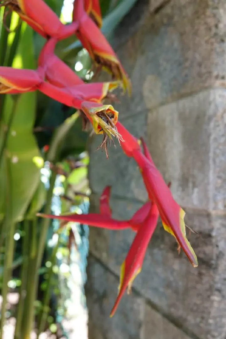 Cairns, Australien - Photo 5